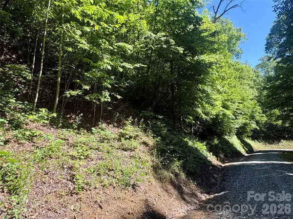 0 Middle RDG #38, Whittier, NC 28789