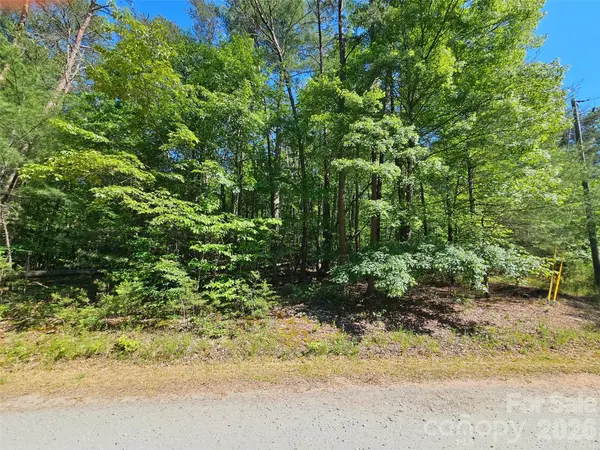 136 Doves WAY #136, Lake Lure, NC 28746