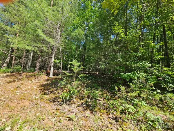 136 Doves WAY #136, Lake Lure, NC 28746