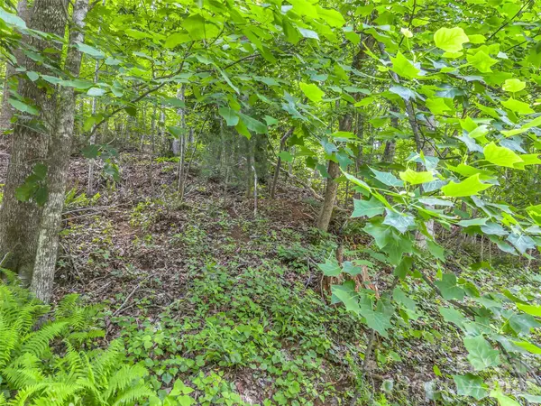 00 Rainbow CIR #11, Lake Lure, NC 28746