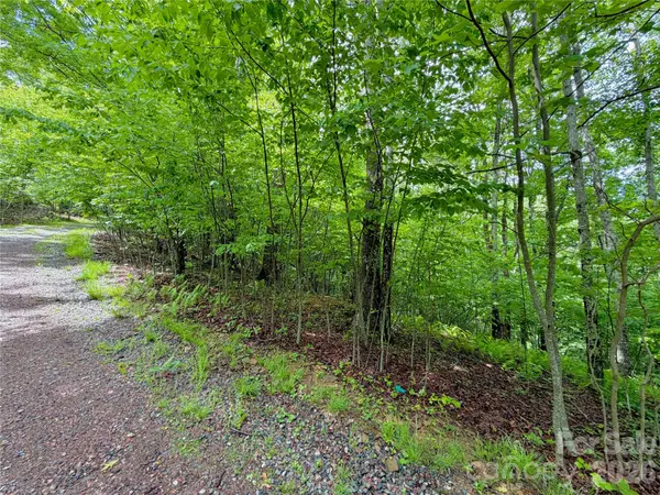TBD Grandfather Watch LN, Banner Elk, NC 28607