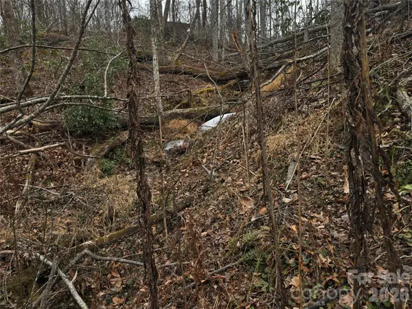 1480 Davis Mountain RD, Hendersonville, NC 28739