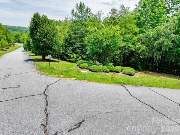 121 Jobes TRL #35, Mill Spring, NC 28756