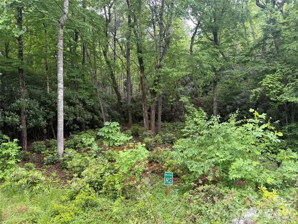 TBD Dogwood TRL, Spruce Pine, NC 28777
