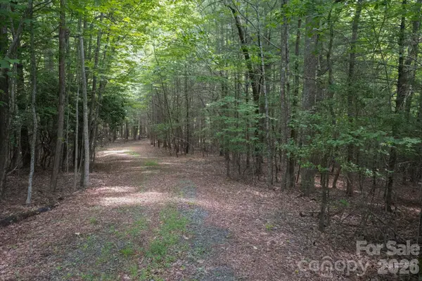 TBD Reserve RD #16, Pisgah Forest, NC 28768