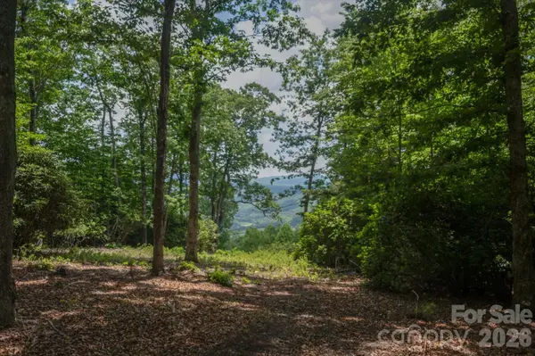 TBD Reserve RD #16, Pisgah Forest, NC 28768