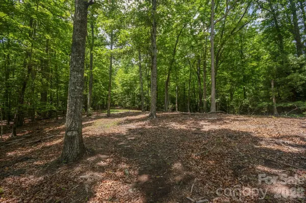 TBD Reserve RD #16, Pisgah Forest, NC 28768