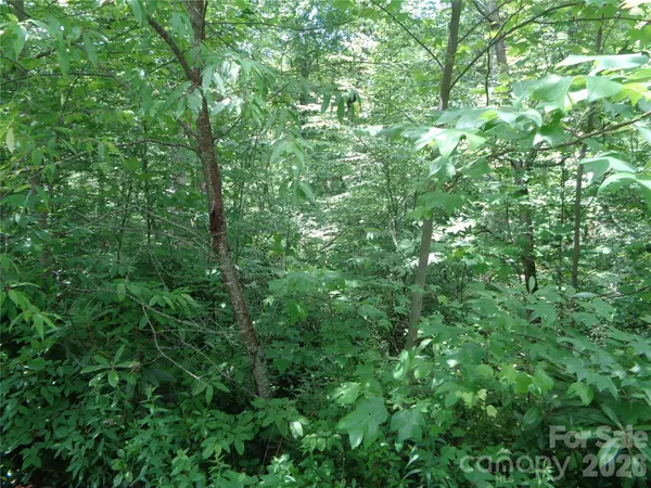 Lot 6 Peaks Creek TRL, Maggie Valley, NC 28751