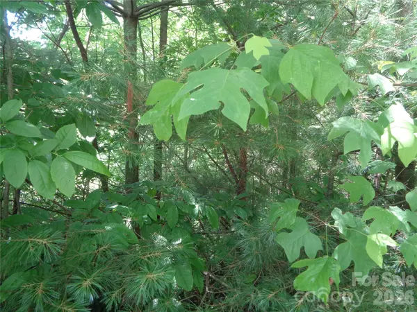 Lot 6 Peaks Creek TRL, Maggie Valley, NC 28751
