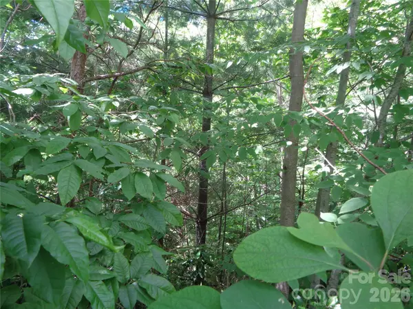 Lot 6 Peaks Creek TRL, Maggie Valley, NC 28751