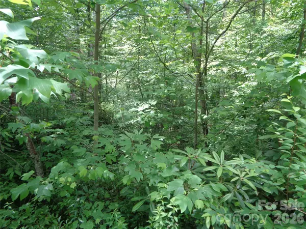 Lot 6 Peaks Creek TRL, Maggie Valley, NC 28751