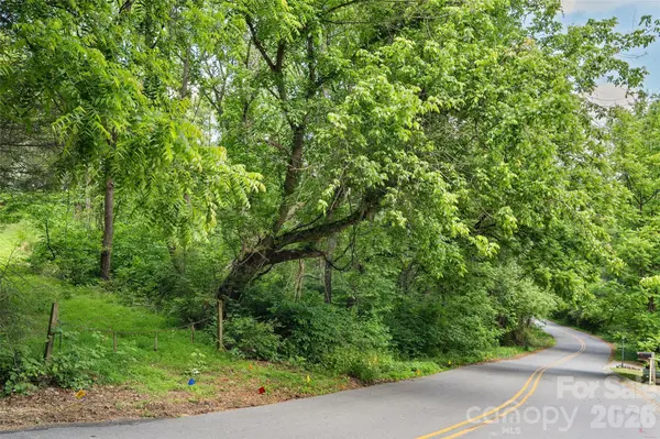 00000 Timberwood DR, Asheville, NC 28806