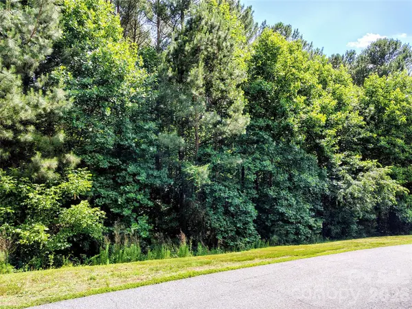 210 Harbor Ridge DR, Connelly Springs, NC 28612