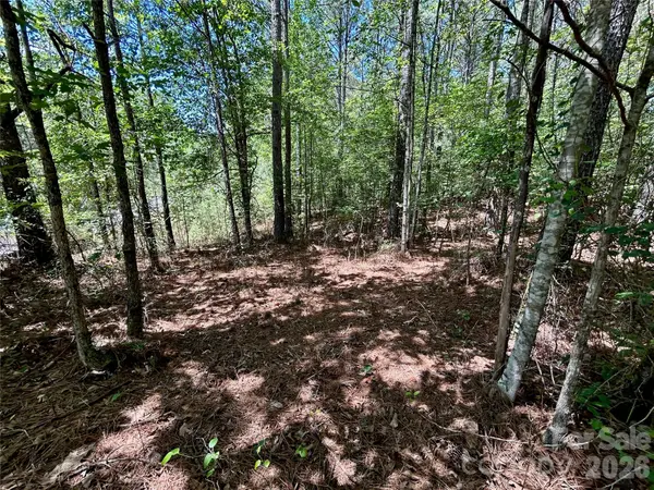 1074 W Hidden Cove LN, Connelly Springs, NC 28612