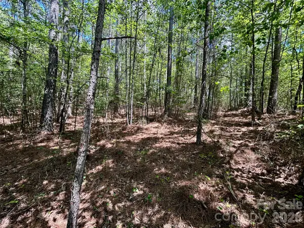 1074 W Hidden Cove LN, Connelly Springs, NC 28612