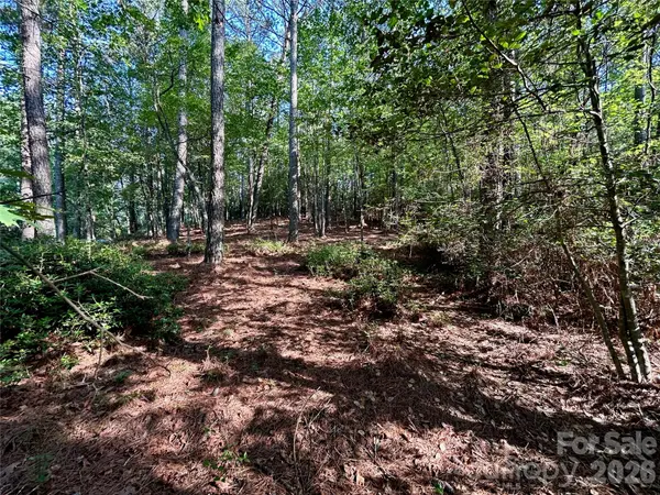 2143 Lighthouse LN, Connelly Springs, NC 28612