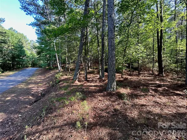 2143 Lighthouse LN, Connelly Springs, NC 28612