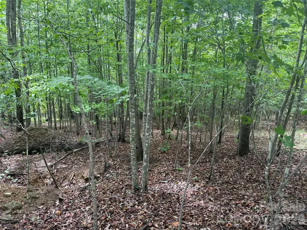 V/L Scenic Vista DR #246, Nebo, NC 28761