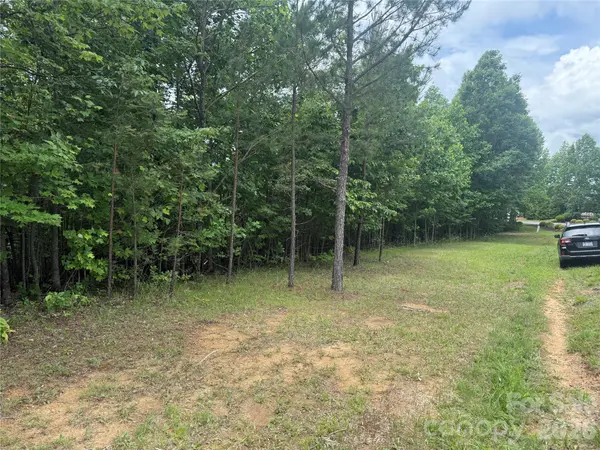 V/L Scenic Vista DR #246, Nebo, NC 28761