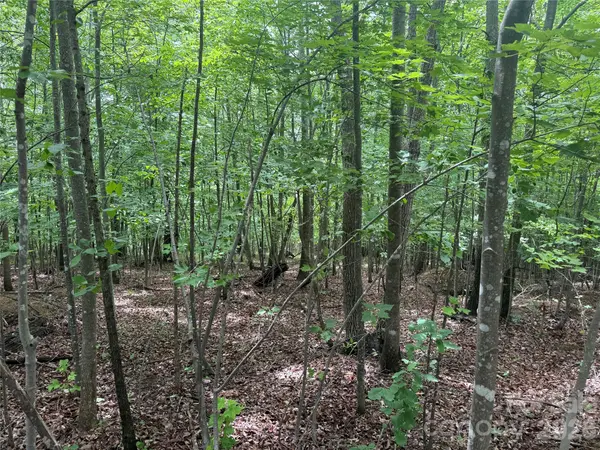 V/L Scenic Vista DR #246, Nebo, NC 28761