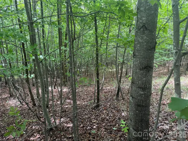V/L Scenic Vista DR #246, Nebo, NC 28761