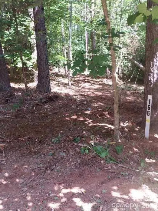 218 Table Rock TRCE NW #166, Valdese, NC 28690