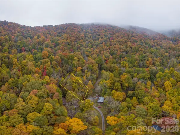 000 Sleepy Hollow LN #13 & 14, Canton, NC 28716