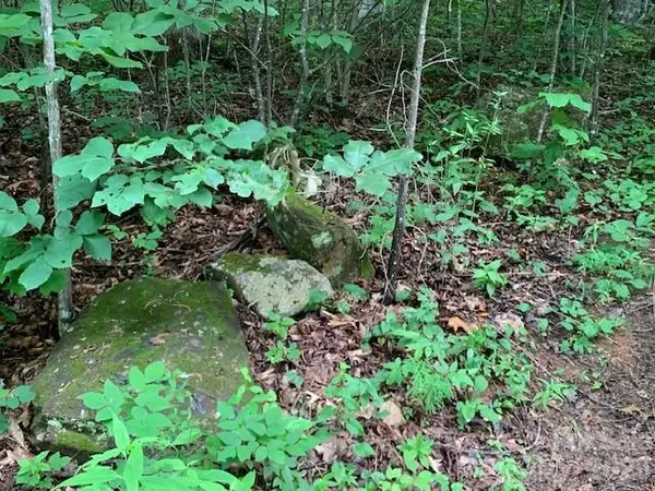 tbd Whitewater CV, Montreat, NC 28757