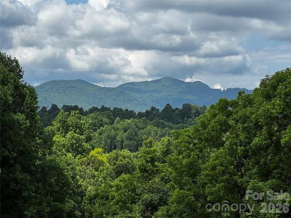 1327 NC 80 HWY, Bakersville, NC 28705