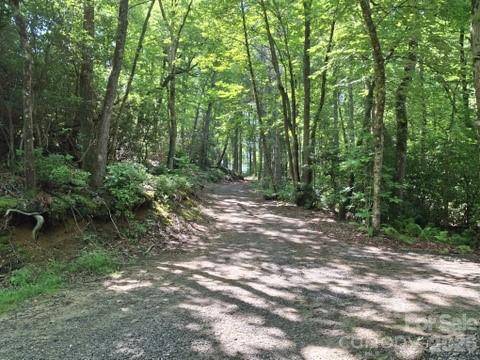 630 Shumont RD, Black Mountain, NC 28711
