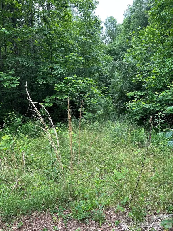 0 Silverstone DR #16 & 17, Hendersonville, NC 28792