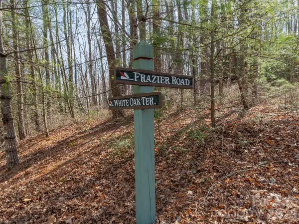 TBD White Oak TER #9, Brevard, NC 28712