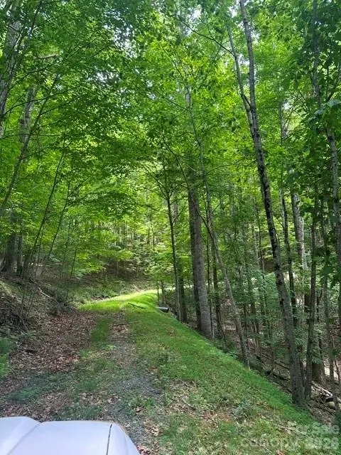 TBD Mountain Home RD #2, Elk Park, NC 28622