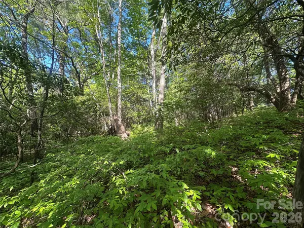 RR 17 Lakeside DR, Lake Toxaway, NC 28747