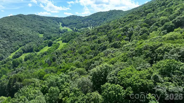 TBD Greencove DR, Seven Devils, NC 28604