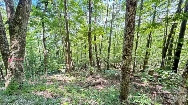 TBD Greencove DR, Seven Devils, NC 28604