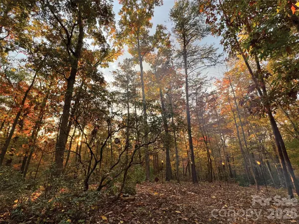 00000 Shady Bark LN #43 & #44, Rutherfordton, NC 28139