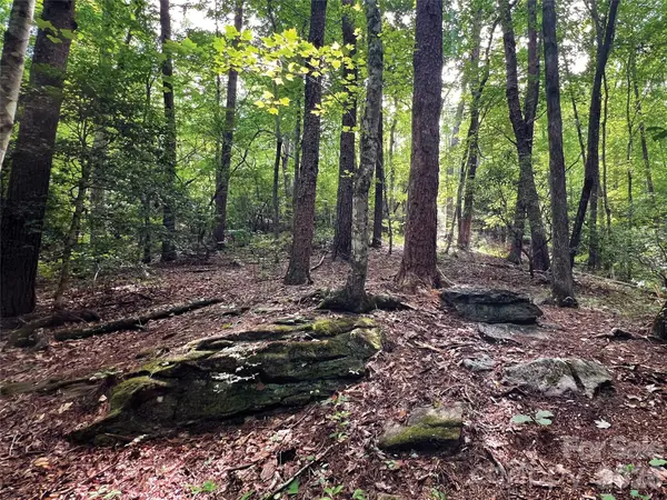 00000 Shady Bark LN #43 & #44, Rutherfordton, NC 28139