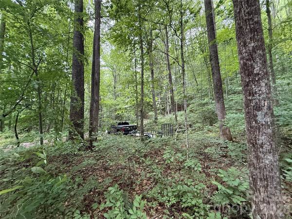 9999 Countryside Estate, Barnardsville, NC 28709