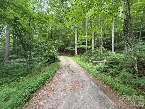 9999 Countryside Estate, Barnardsville, NC 28709