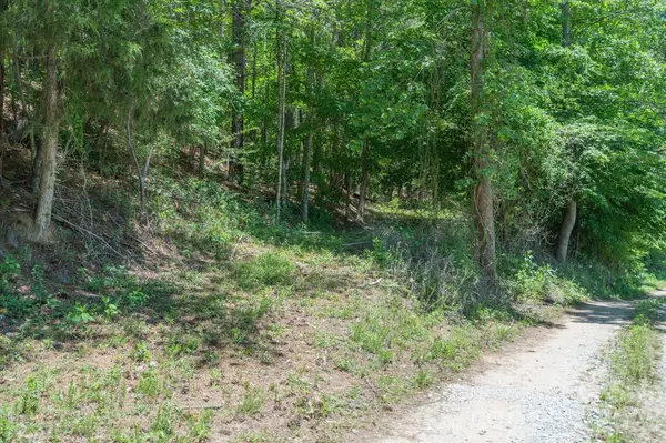 99999 Thompson Lake RD, Rutherfordton, NC 28139