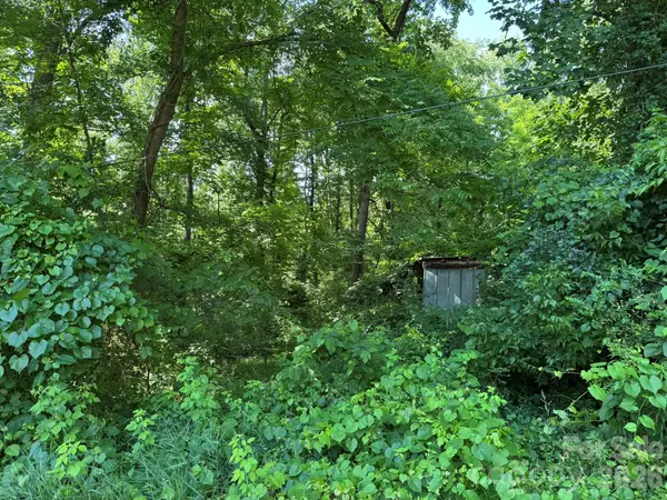 0 Arlington EXT, Bryson City, NC 28713