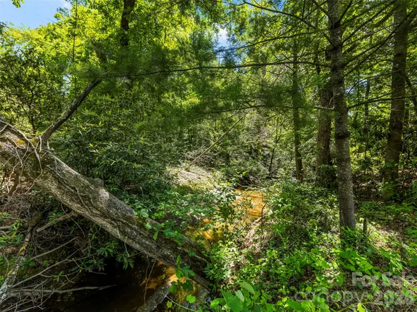 742 Hiawassee AVE, Black Mountain, NC 28711