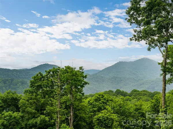 243 Pioneer Ridge RD, Canton, NC 28716