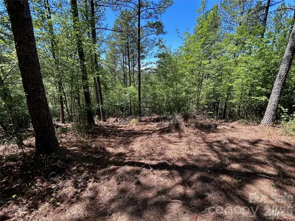 1175 HIDDEN COVE LN, Connelly Springs, NC 28612