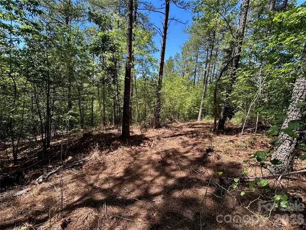 1175 HIDDEN COVE LN, Connelly Springs, NC 28612