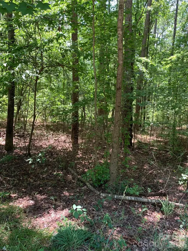 220 Lakewood CT, New London, NC 28127