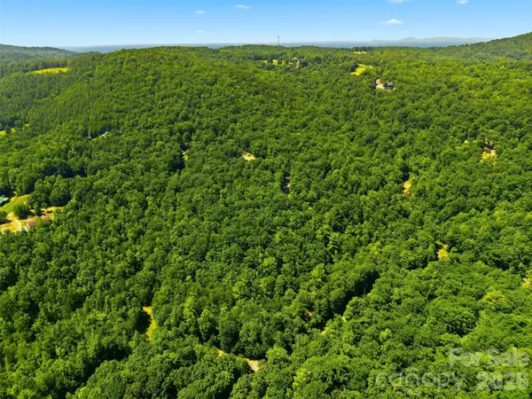 TBD Basin Creek DR #14, Taylorsville, NC 28681