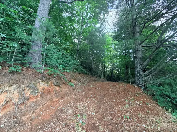 0 Silverglen WAY #53, Hendersonville, NC 28792