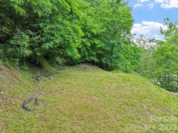 2079 Roses Branch RD, Green Mountain, NC 28740